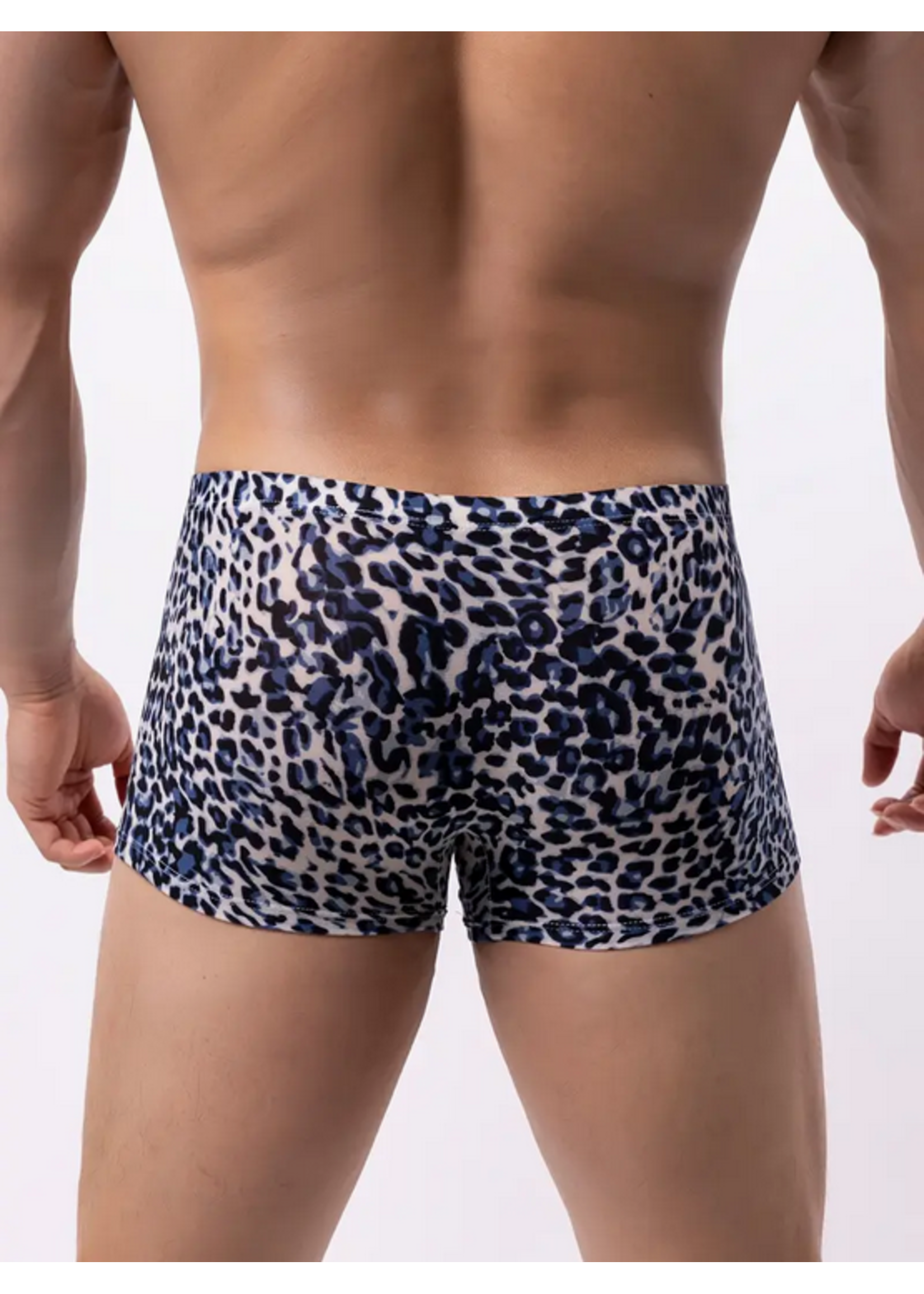 Wild Instinct Mesh Boxers
