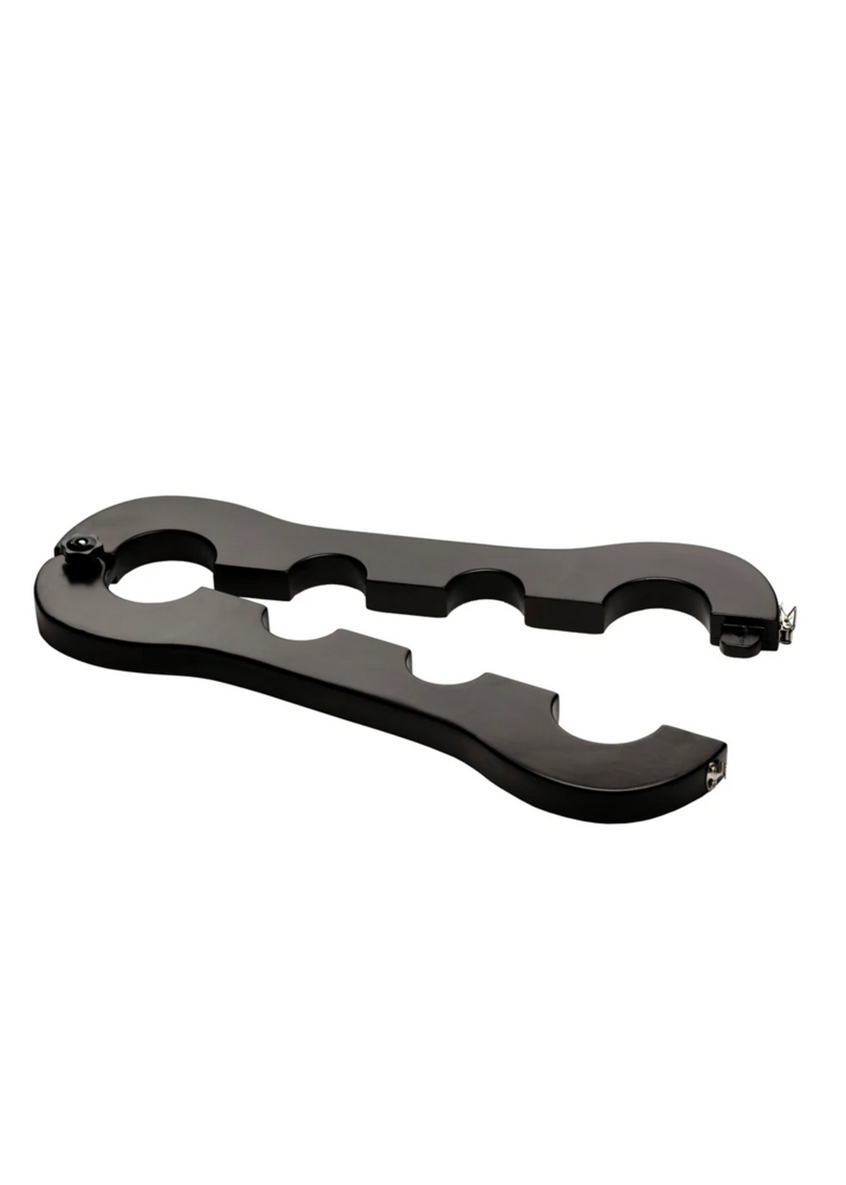 Master Series Trapped Wrist and Ankle Stocks