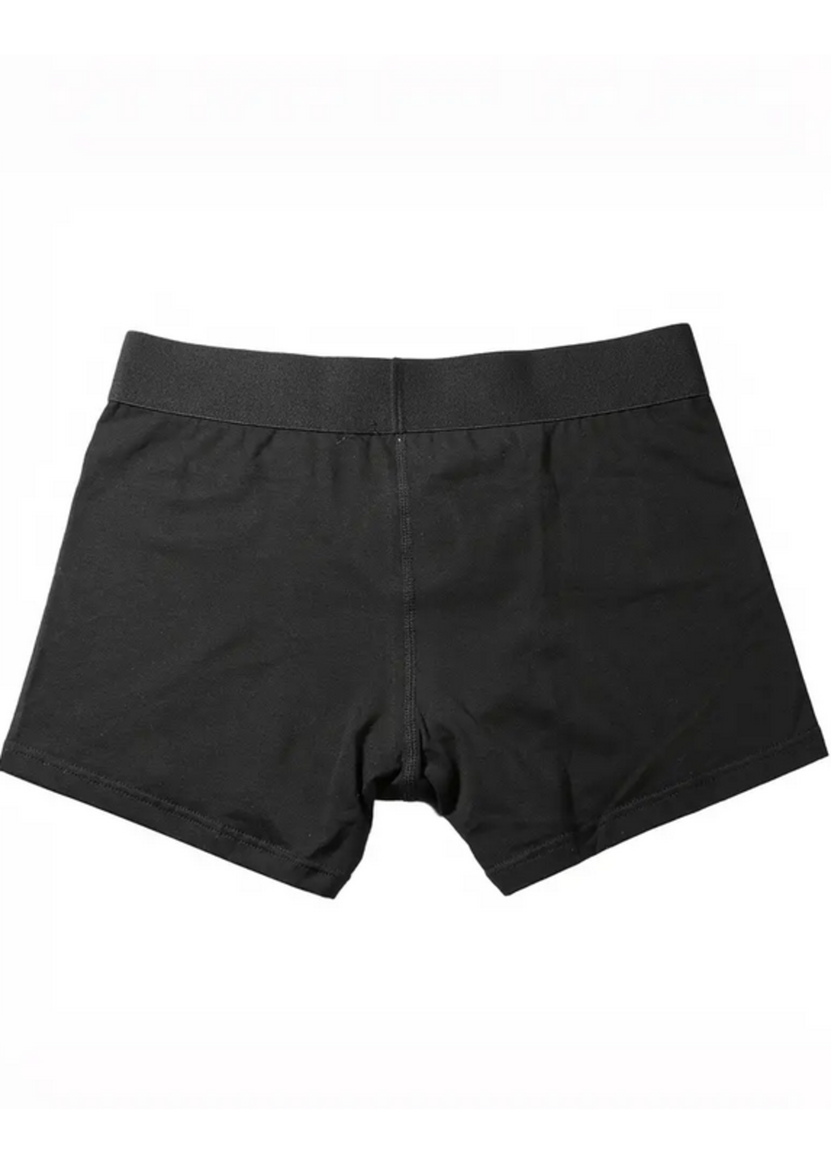 PleasureFit Strap-On Harness Boxers