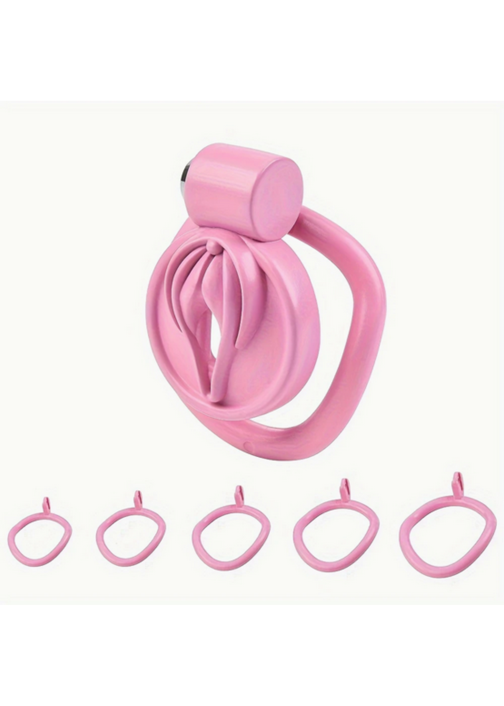 Pussy Prison Chastity Cage