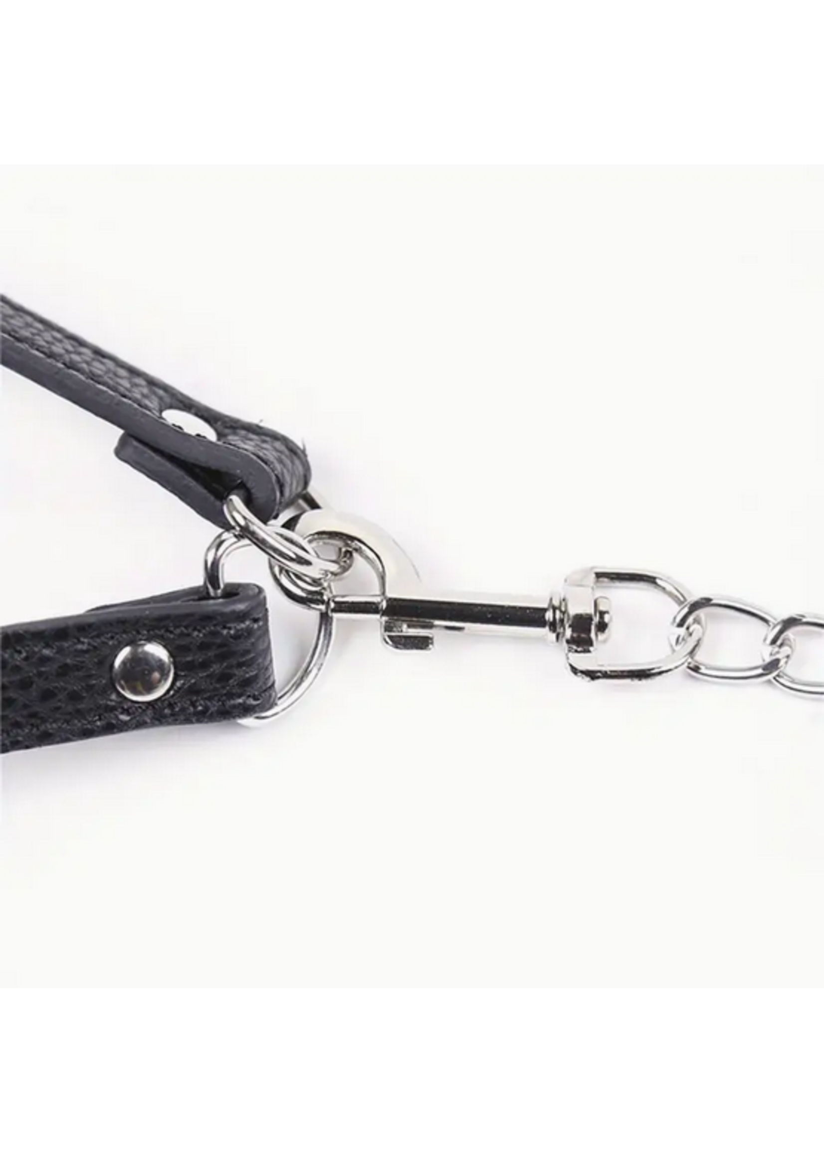 Penis Harness & Leash