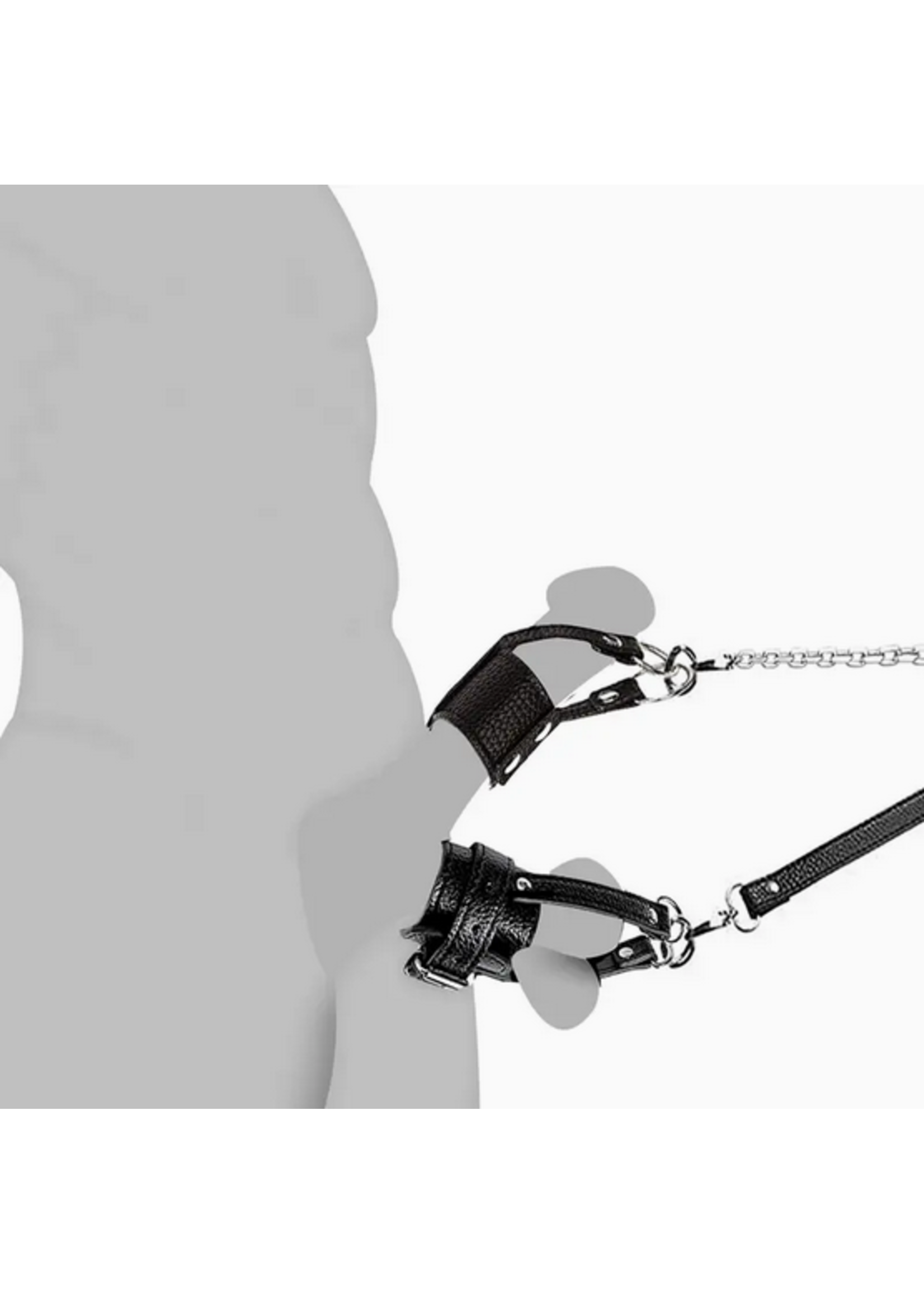 Penis Harness & Leash