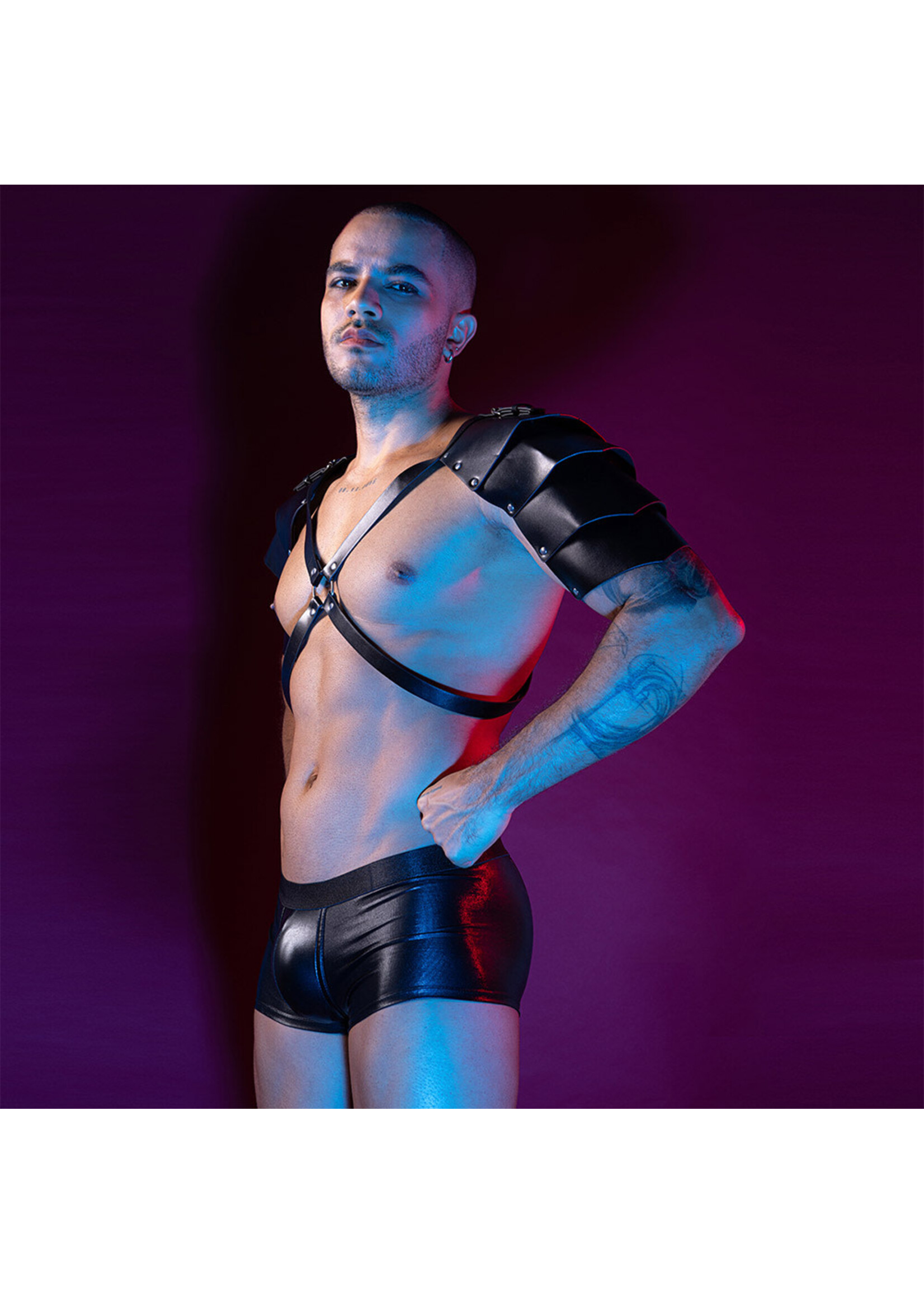 JSY – 2PC Set Leather Wing Harness