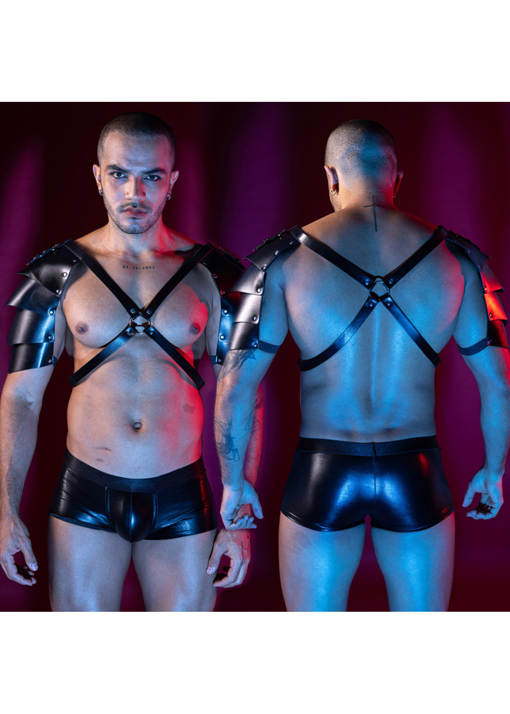 JSY – 2PC Set Leather Wing Harness