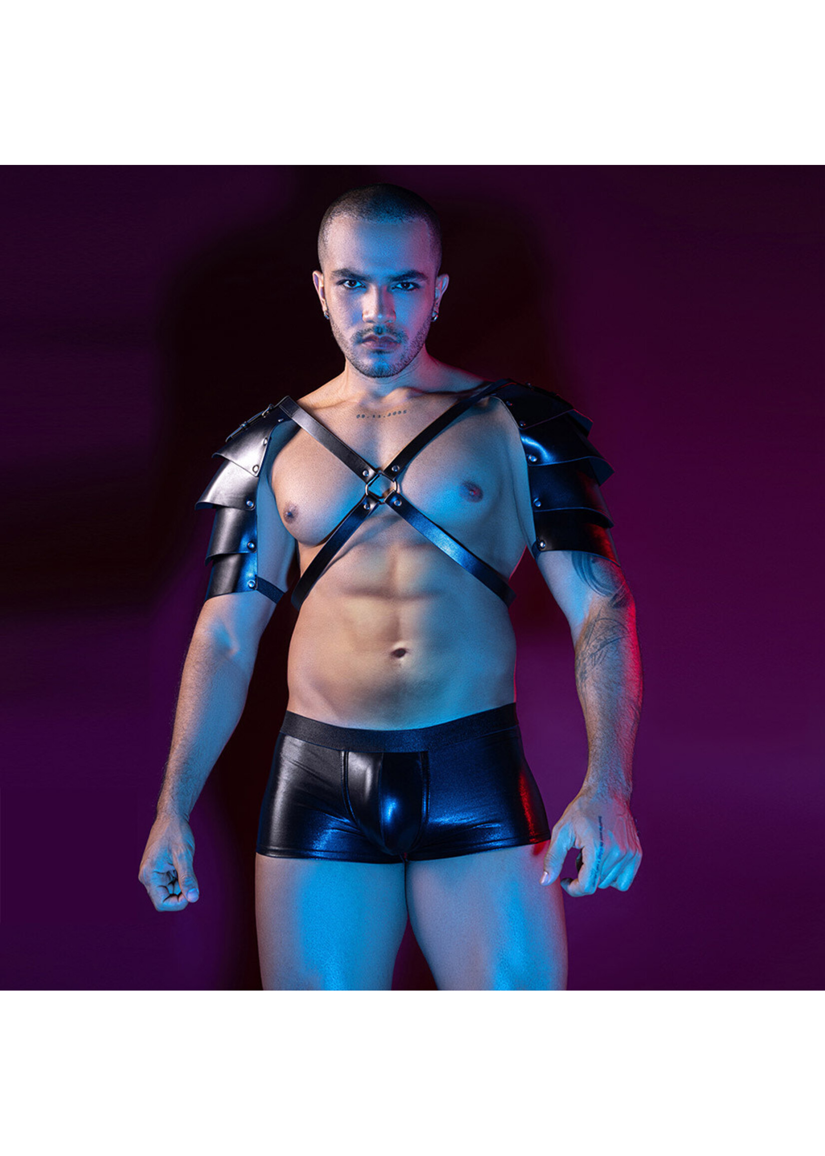 JSY – 2PC Set Leather Wing Harness
