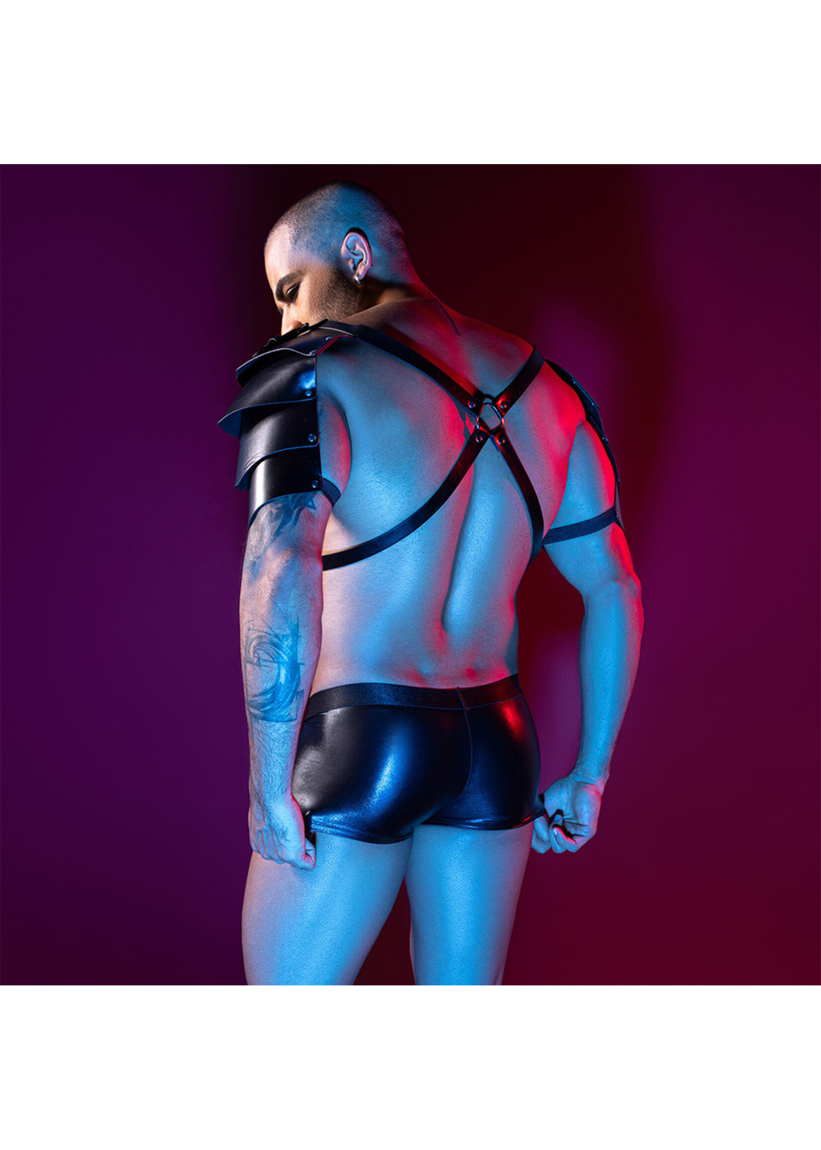 JSY – 2PC Set Leather Wing Harness
