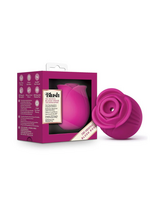 Blush Blush Collection The Original Blush Rose
