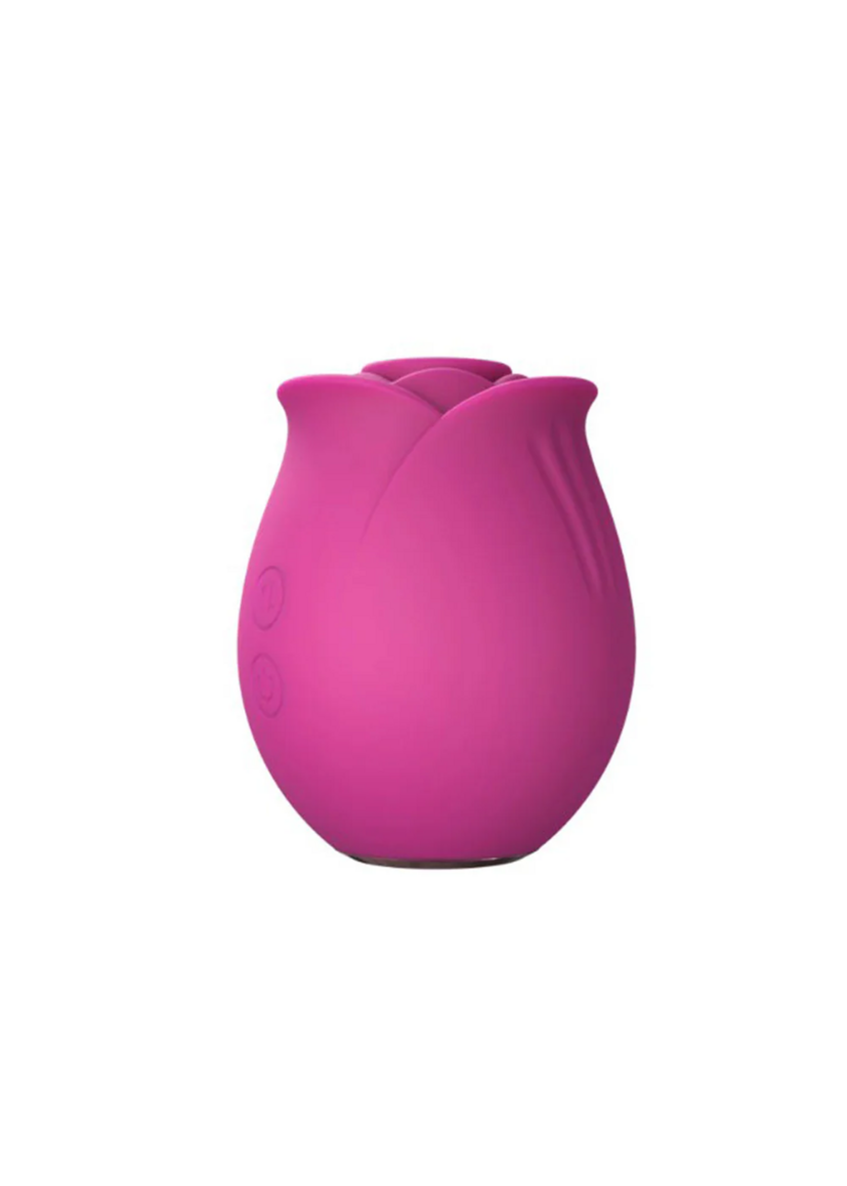 Blush Blush Collection The Original Blush Rose
