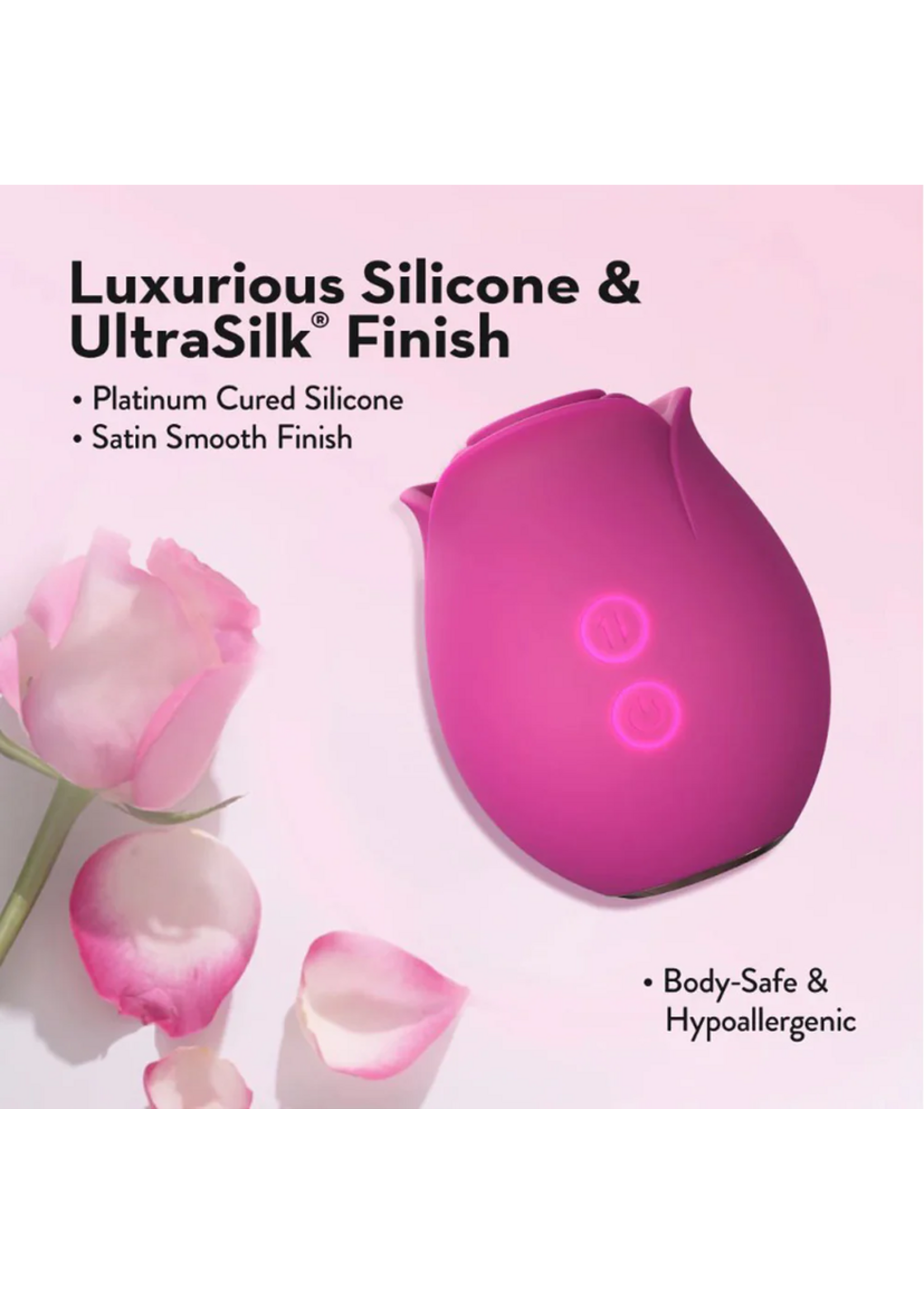 Blush Blush Collection The Original Blush Rose
