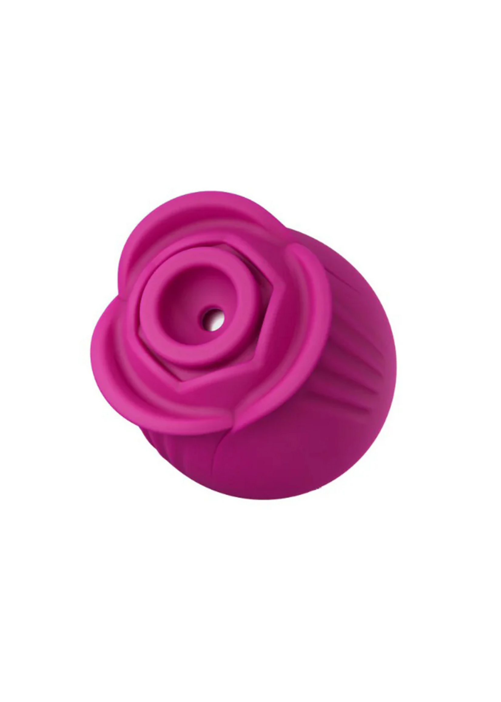 Blush Blush Collection The Original Blush Rose