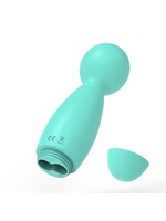 Tracy's Dog Mini Wand Massager Teal Traveller