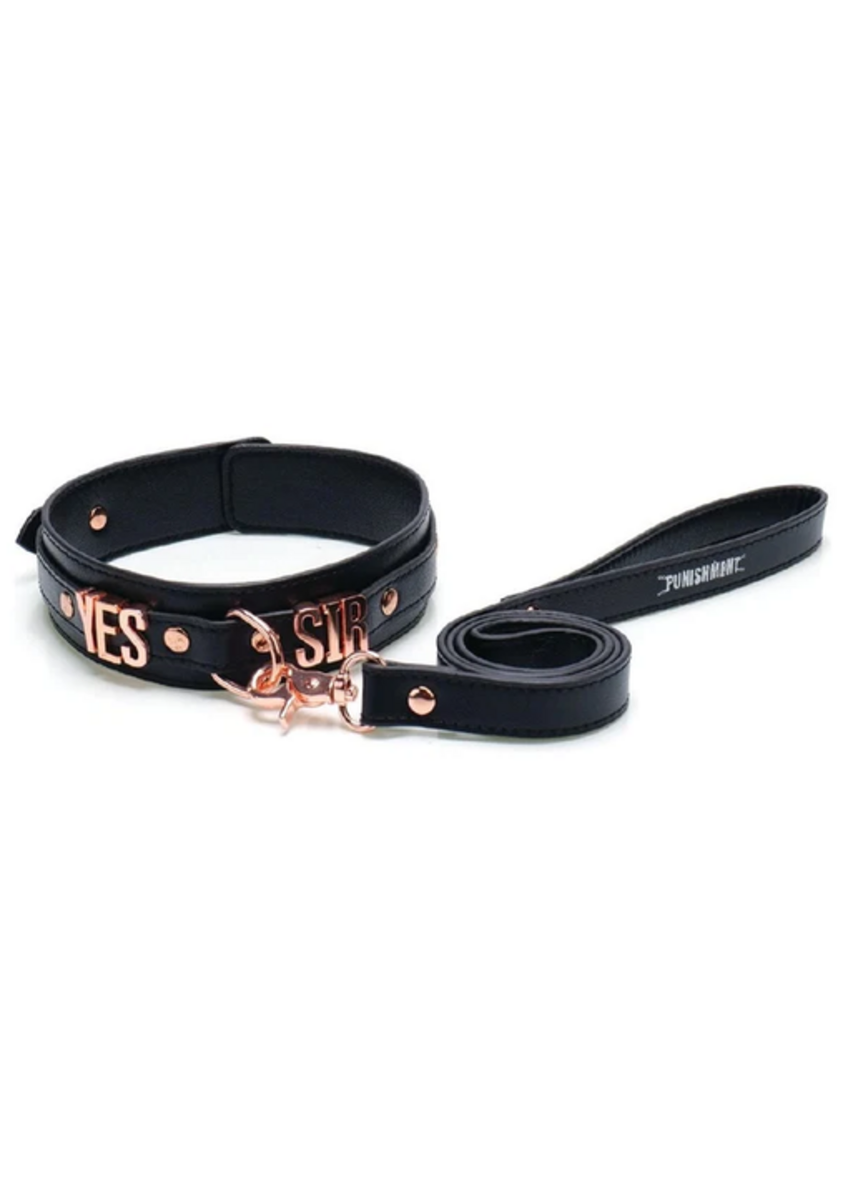 Punishment Punishment Rose Gold Yes Sir Collar & Leash