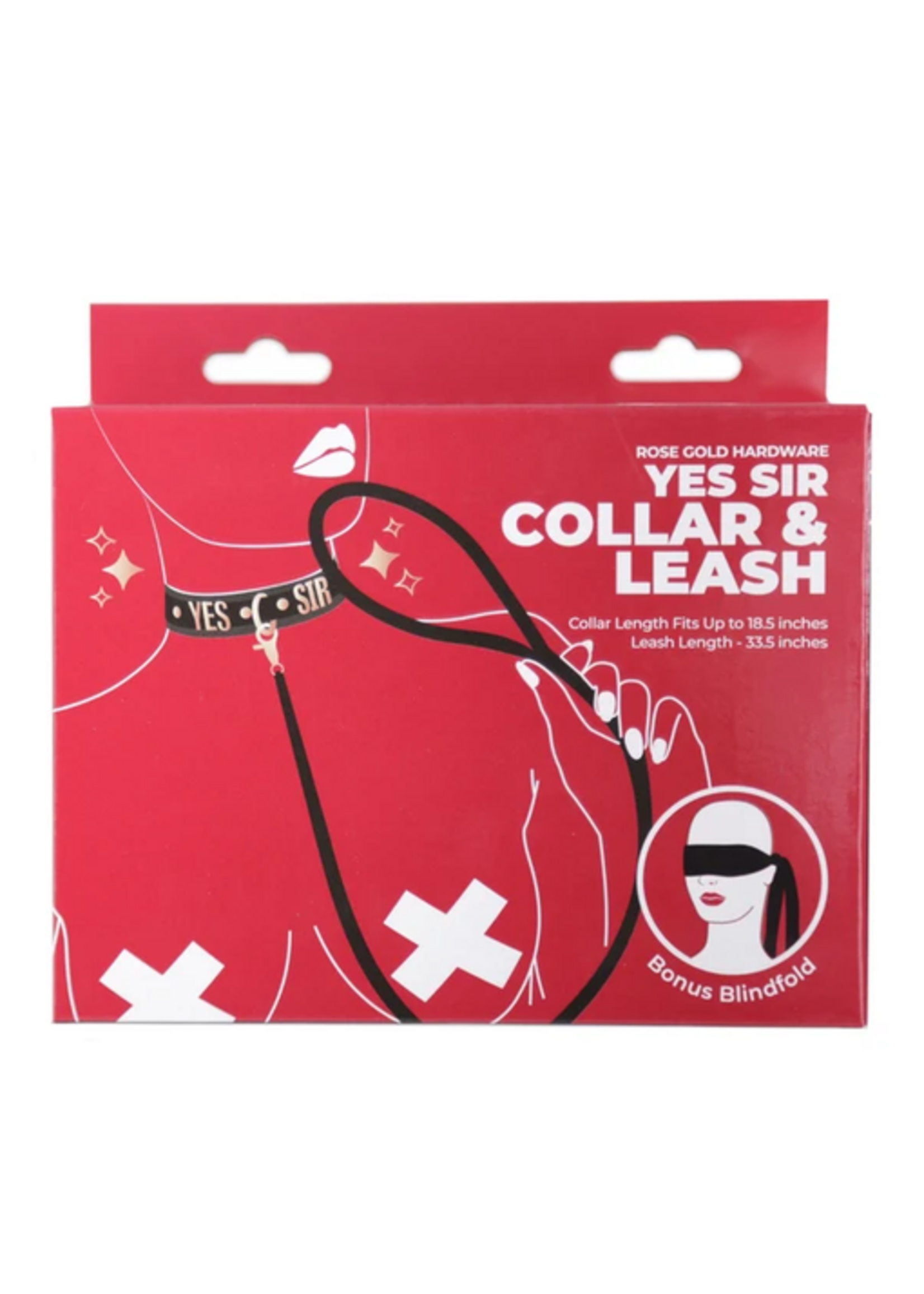 Punishment Punishment Rose Gold Yes Sir Collar & Leash