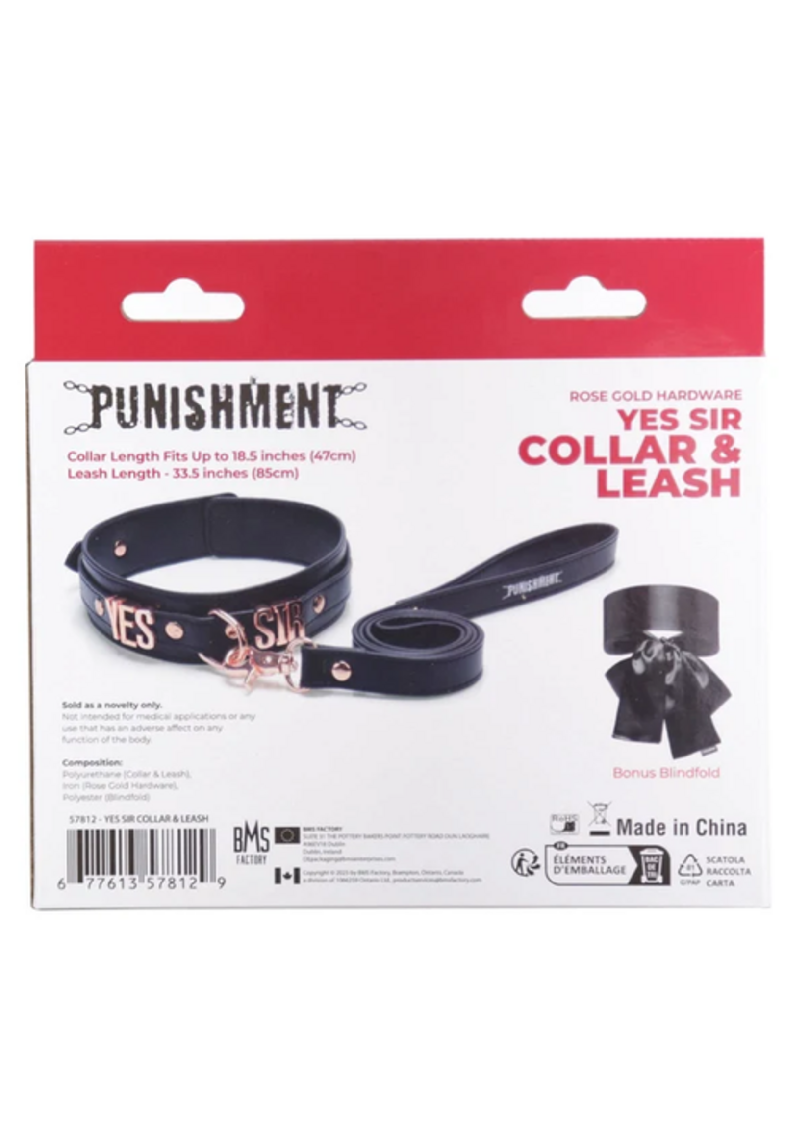 Punishment Punishment Rose Gold Yes Sir Collar & Leash