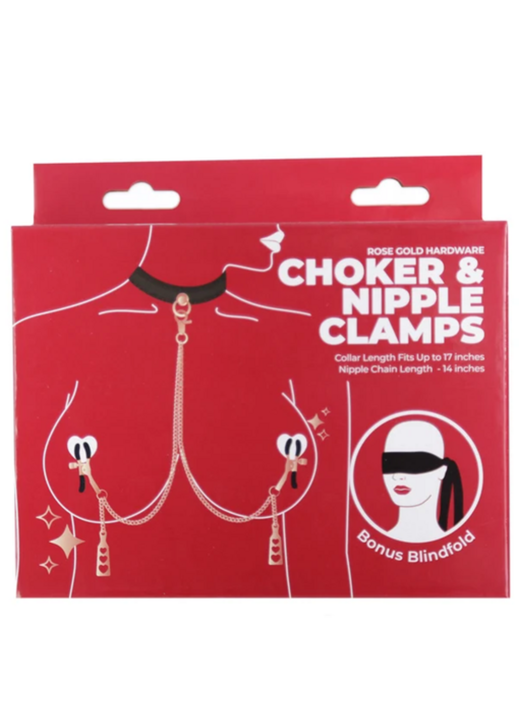 Punishment Rose Gold Choker & Nipple Clamps