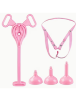 Pink Pussy Cock Cage with Urinal Cup Set