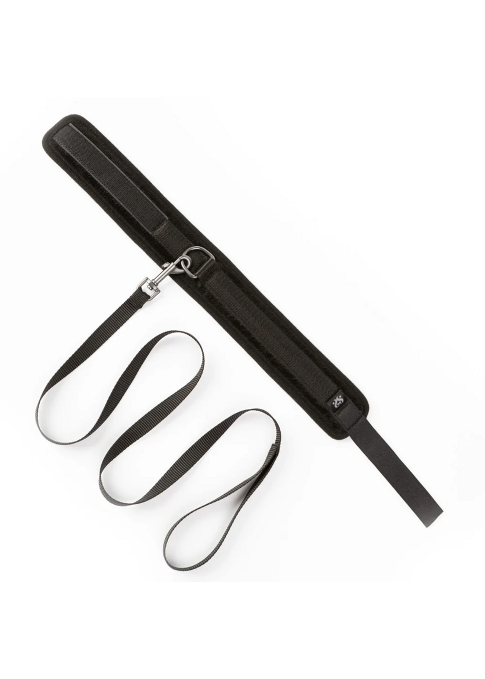 Sei Mio Take the Lead Padded Collar/Leash