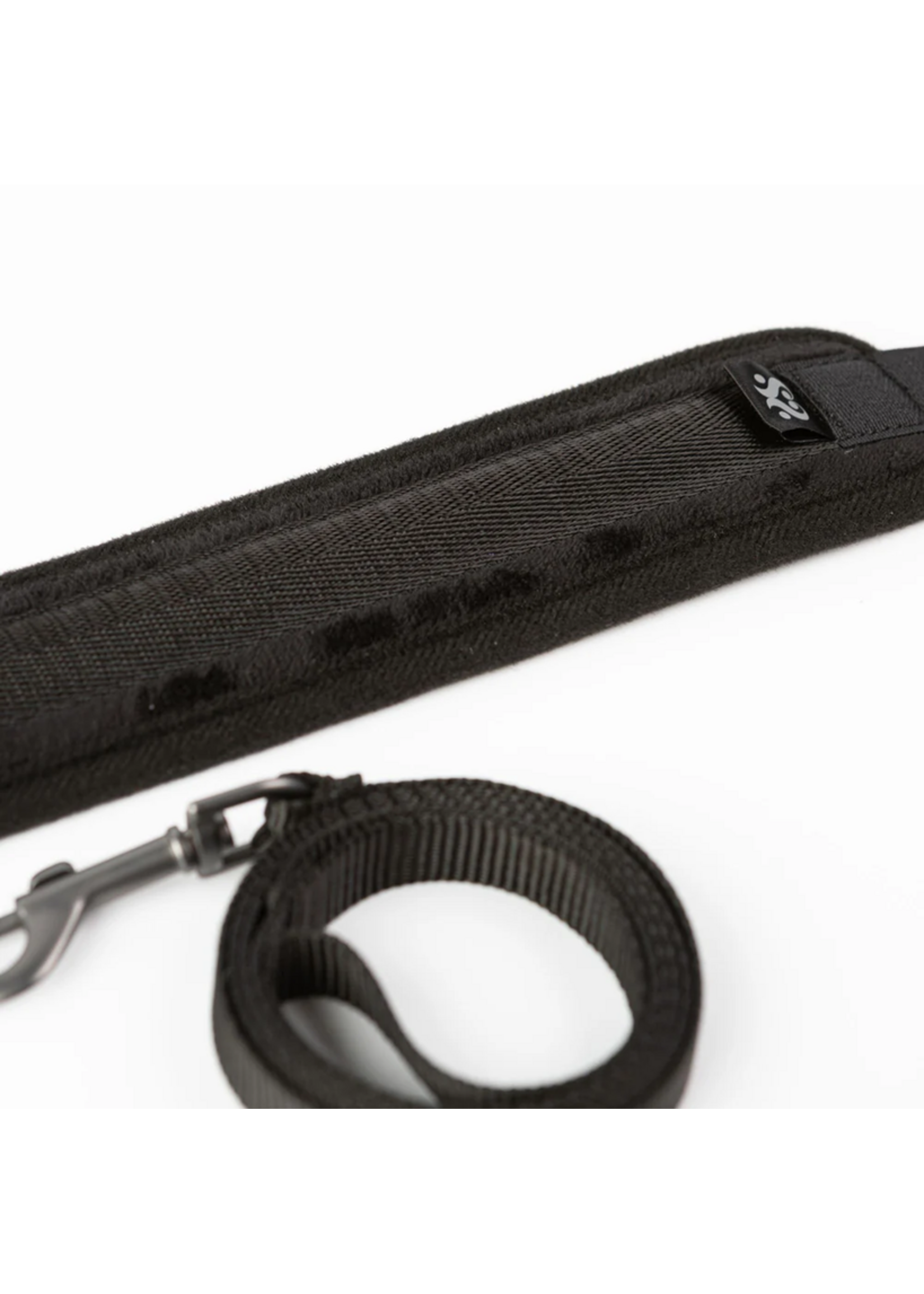 Sei Mio Take the Lead Padded Collar/Leash
