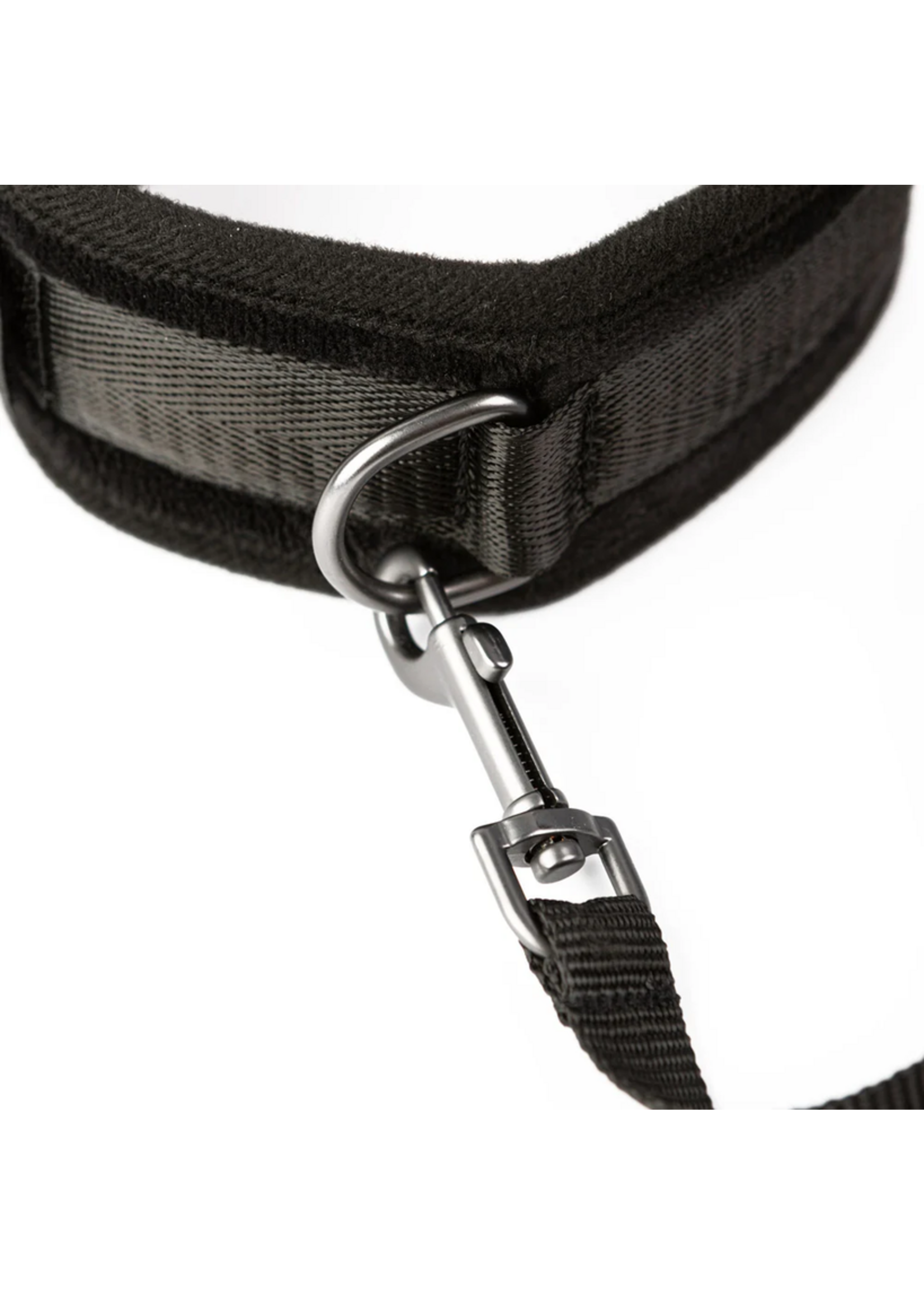 Sei Mio Take the Lead Padded Collar/Leash