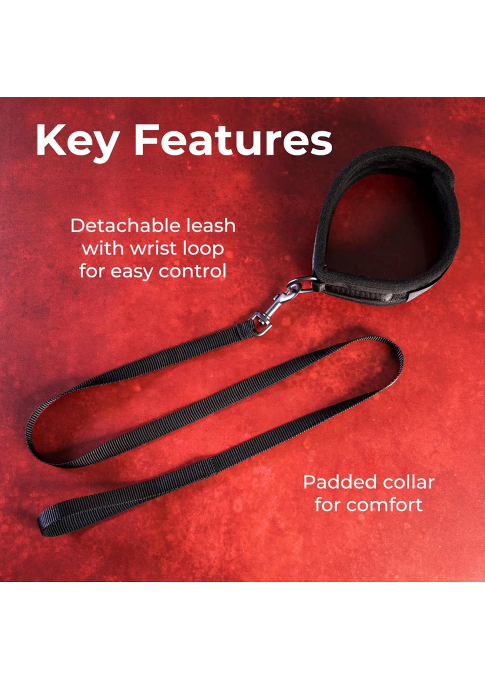 Sei Mio Take the Lead Padded Collar/Leash