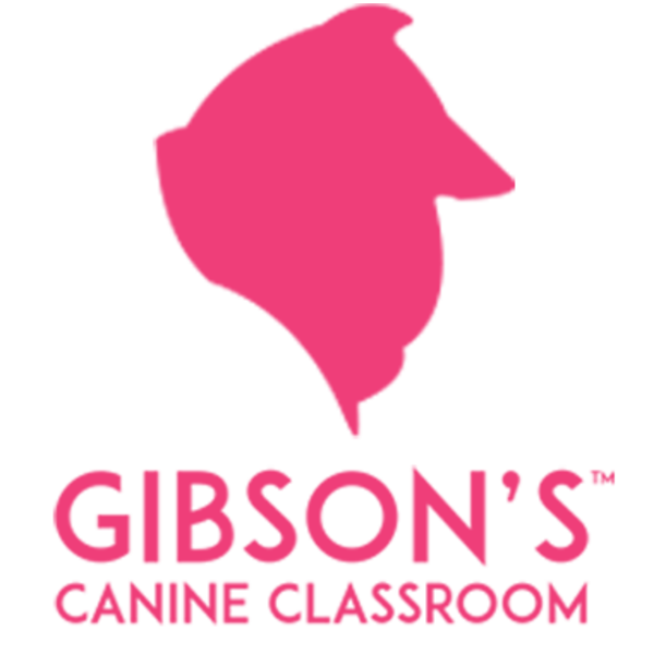 Gibson's Canine Classroom $100 - One Time In Home House Breaking