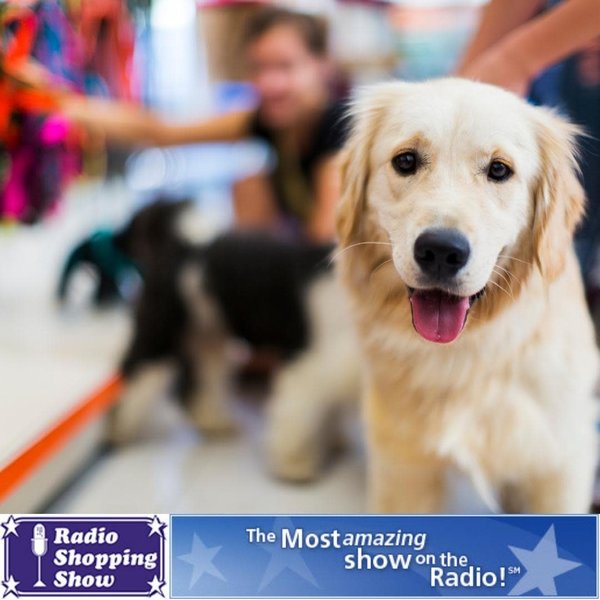 Pet Buddies $15 - Pet Sitting