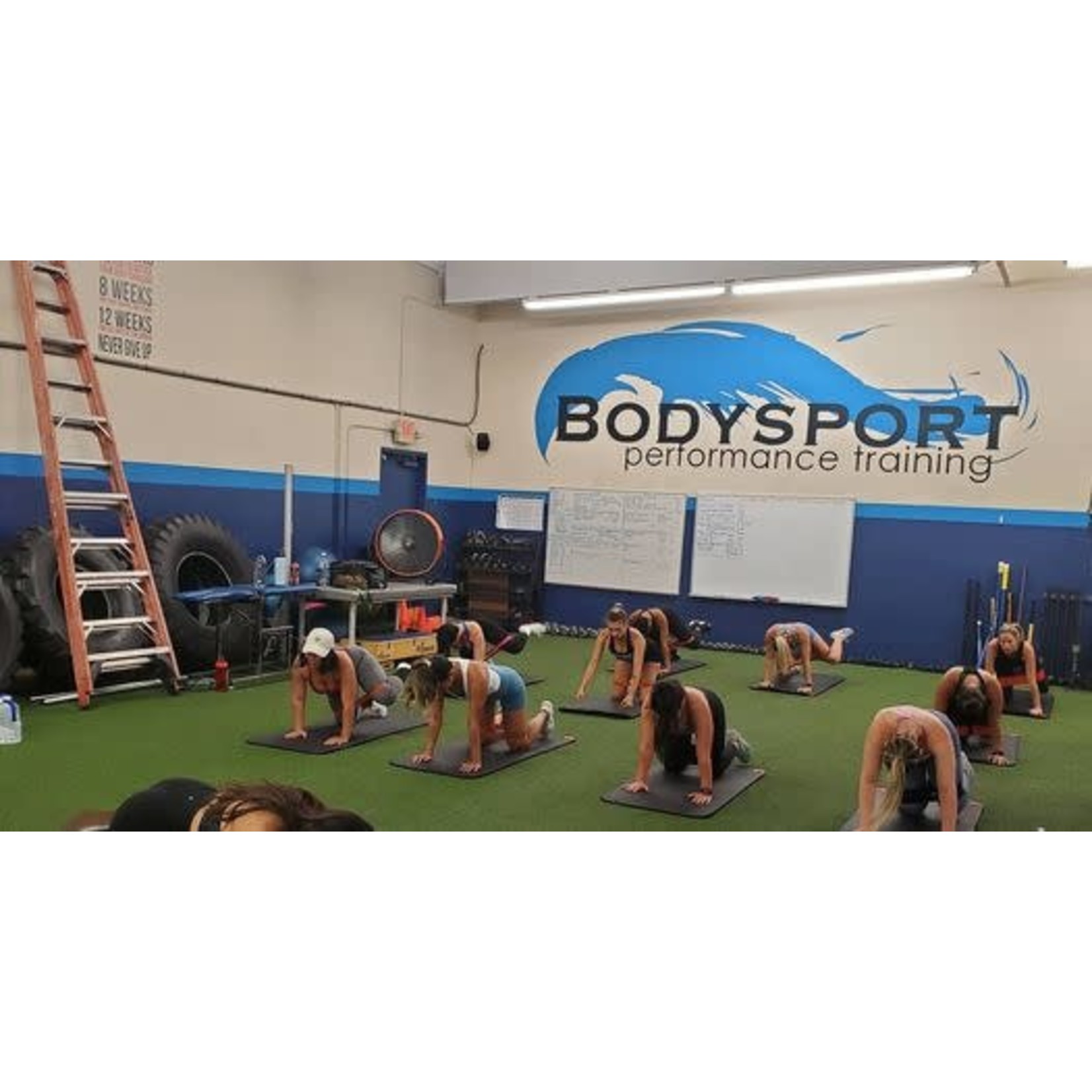 Body Sports Fitness Center Body Sports Fitness Center $50 - (7) Day Training Session