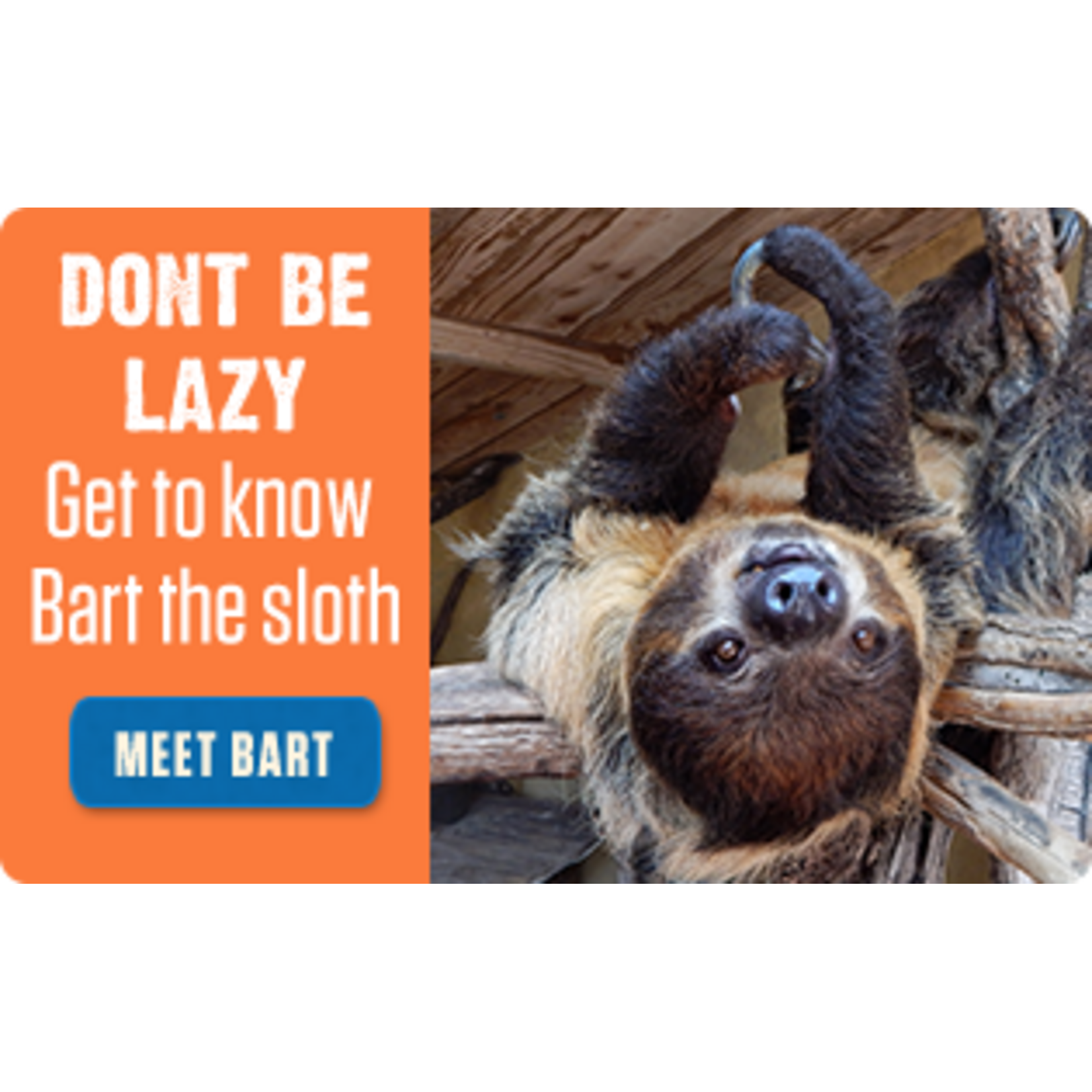 AZ - Out of Africa Wildlife Park - Camp Verde AZ - Out of Africa Wildlife Park - Camp Verde $85- Pair of General Admission Adult & Child
