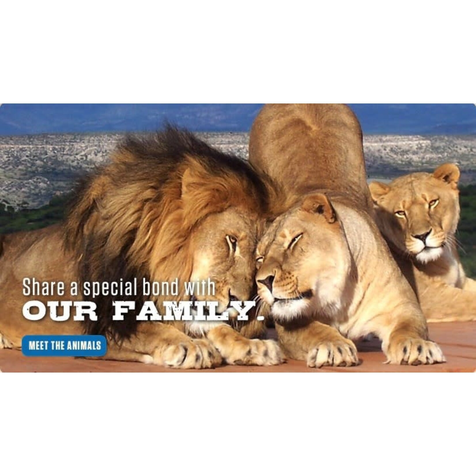 AZ - Out of Africa Wildlife Park - Camp Verde AZ - Out of Africa Wildlife Park - Camp Verde $85- Pair of General Admission Adult & Child