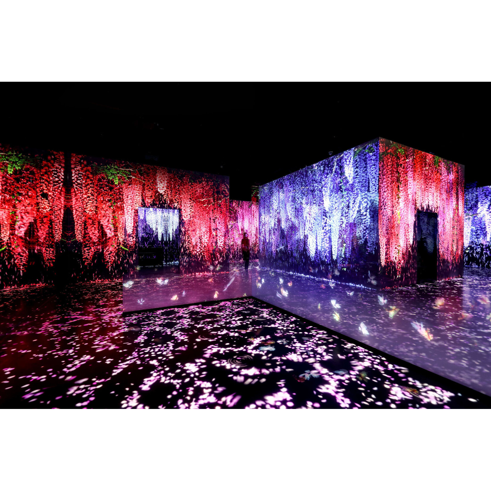 Arte Museum Arte Museum Las Vegas - $110 Value Pair of Tickets (NO EXP)