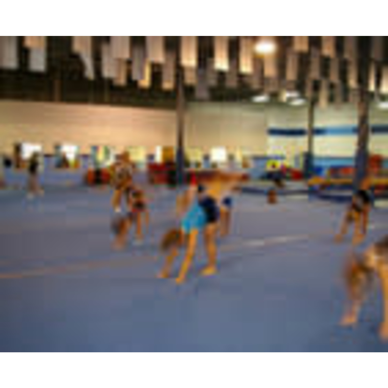 Gymkhana Gymnastics Club & Dance Studio-Hanover Park $10.00 Open