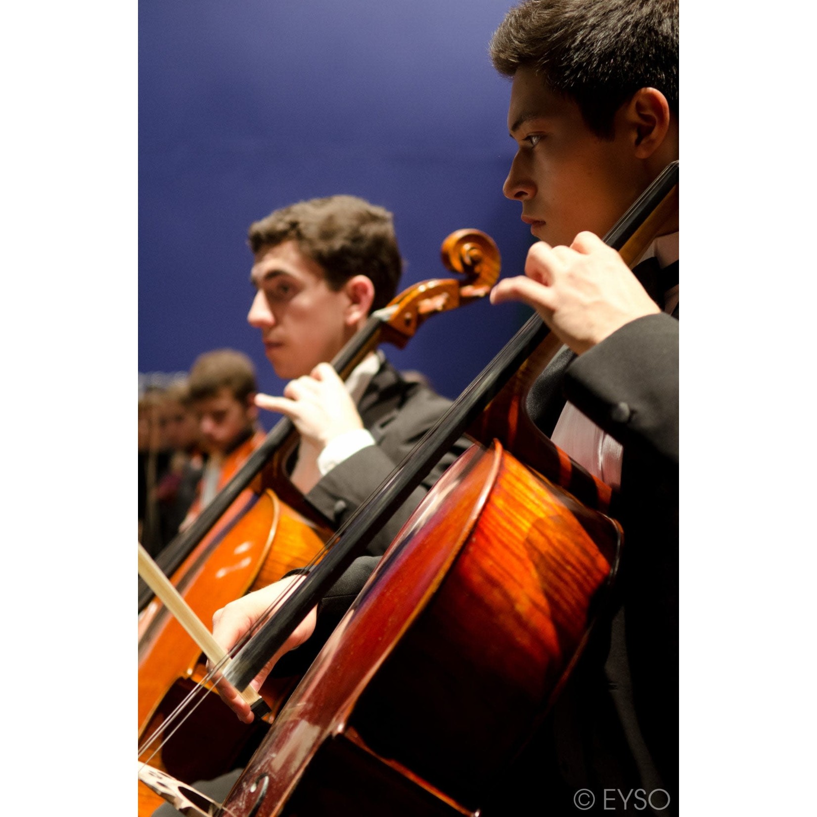 Elgin Youth Symphony Orchestra Elgin Youth Symphony $54 PAIR Concert tickets  3/12@ 2, 4:30, or 7pm