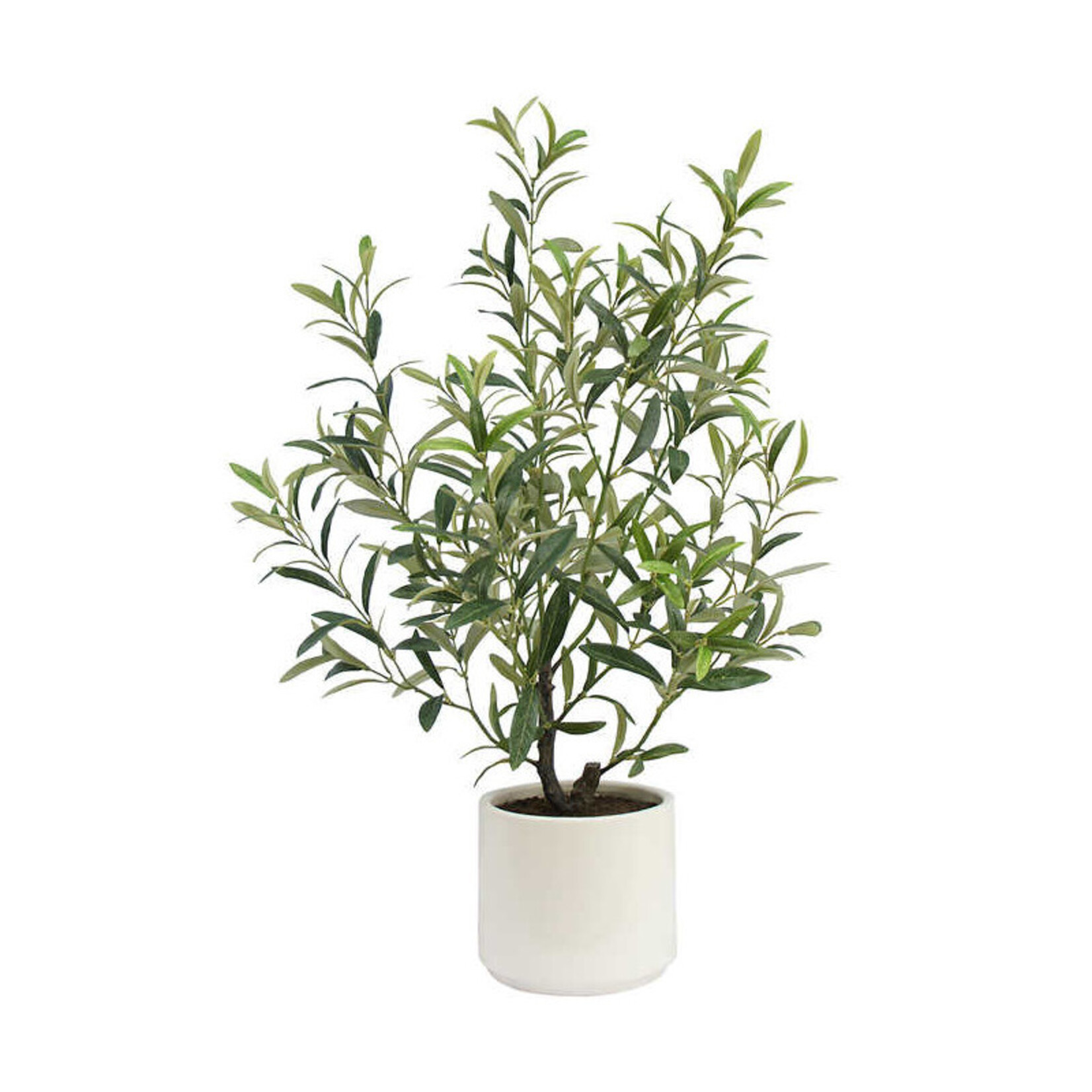 Faux Olive Tabletop plant