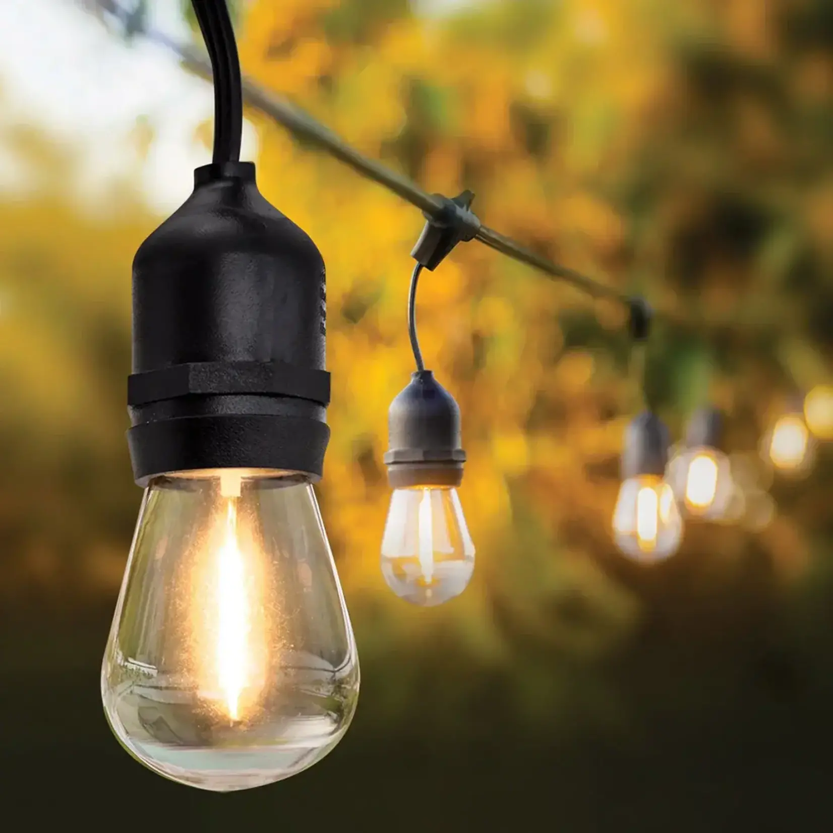Feit - LED String Lights - 14.63 m (48 ft.)