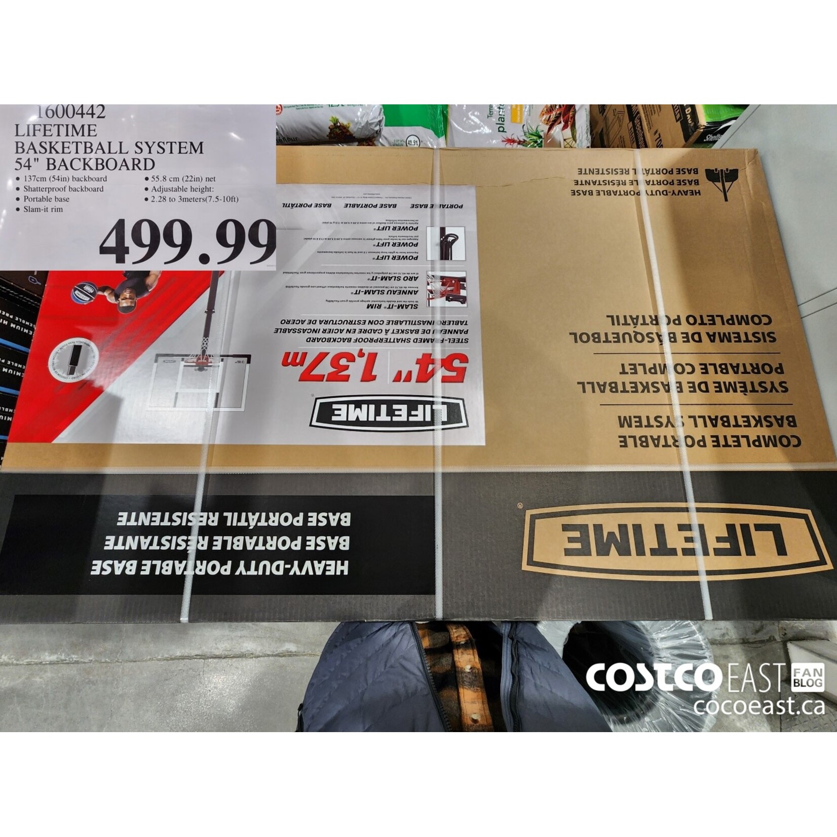 LIFETIME ADJUSTABLE PORTABLE BASKETBALL HOOP (54-INCH)