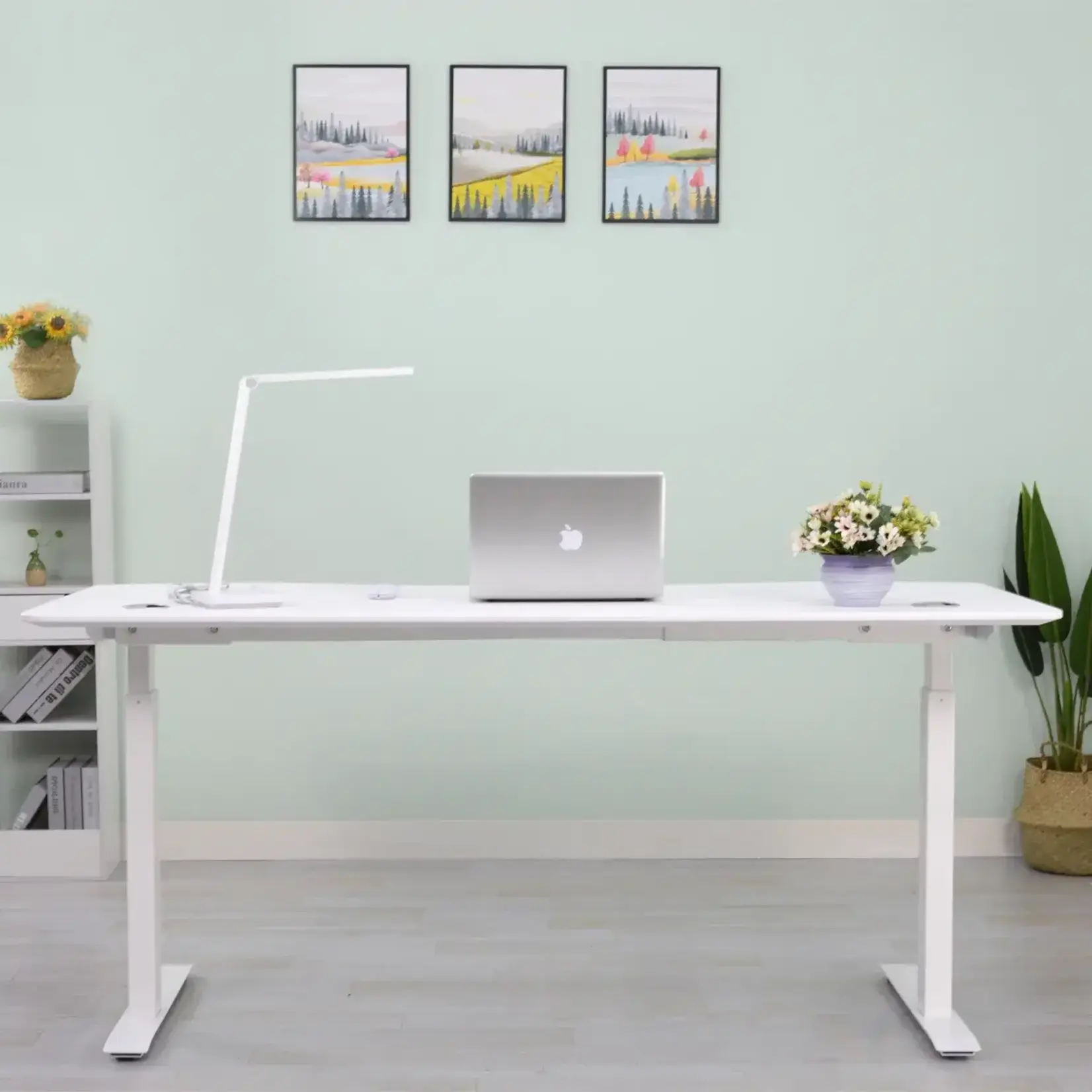 Motionwise Height Adjustable Standing Desk 152.4 cm x 76.2 cm