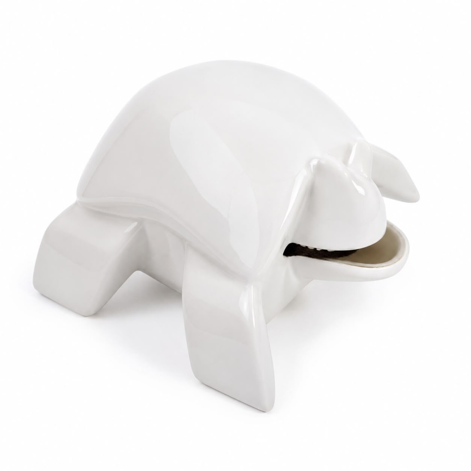 Turtle Money Bank