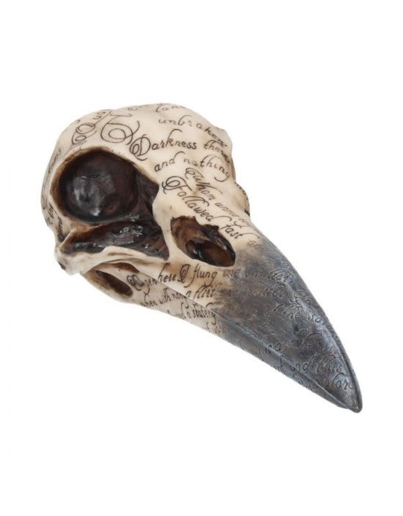 Edgar’s Raven Skull - 21 cm
