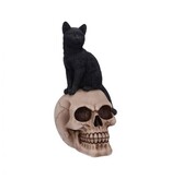 Nemesis Now Familiar Fate 24.3cm (NB)