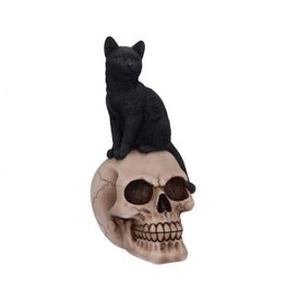 Nemesis Now Familiar Fate 24.3cm (NB)