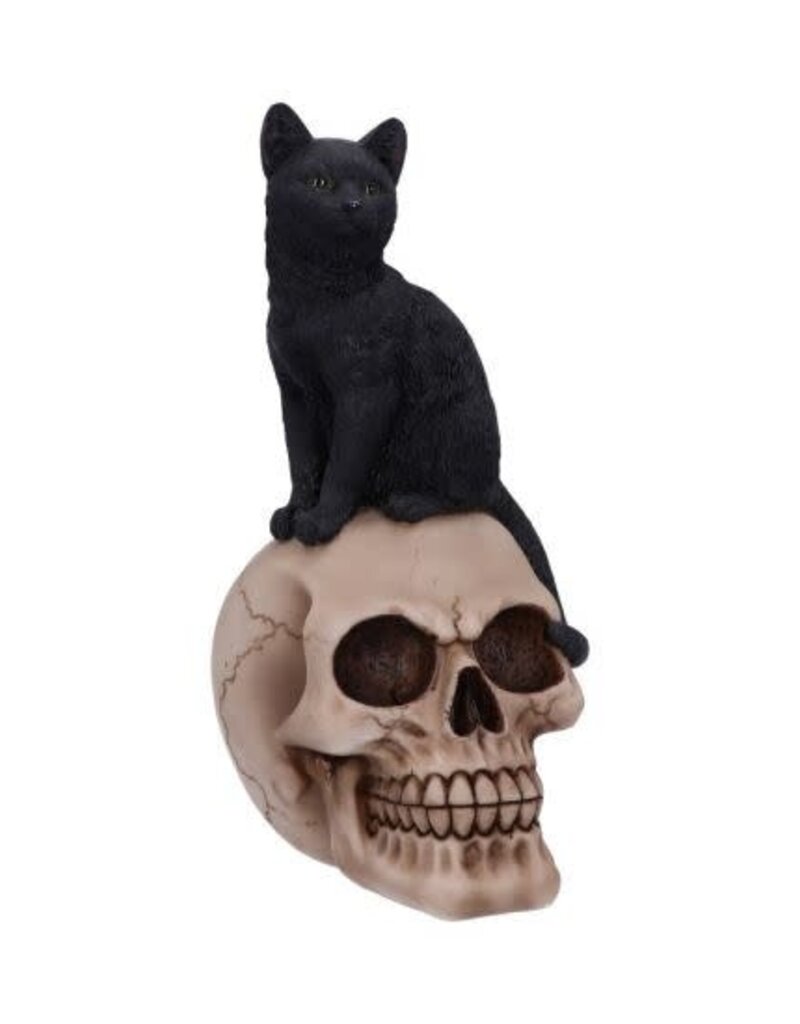 Nemesis Now Familiar Fate 24.3cm (NB)