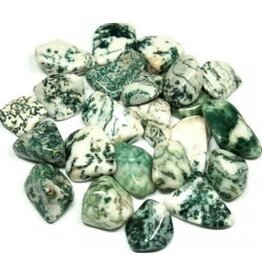 Tree Agate - Small Gemstone Tumbled