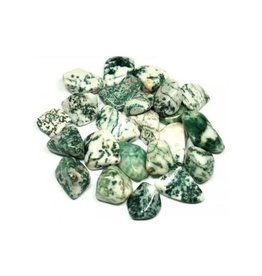 Tree Agate - Small Gemstone Tumbled