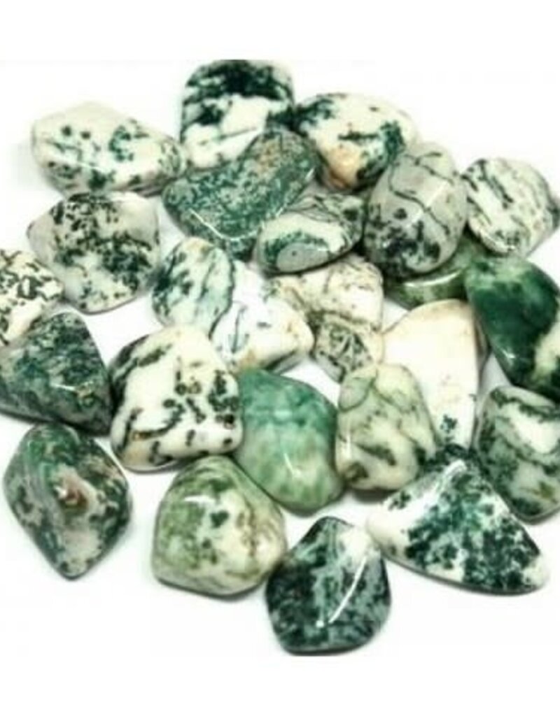 Tree Agate - Small Gemstone Tumbled