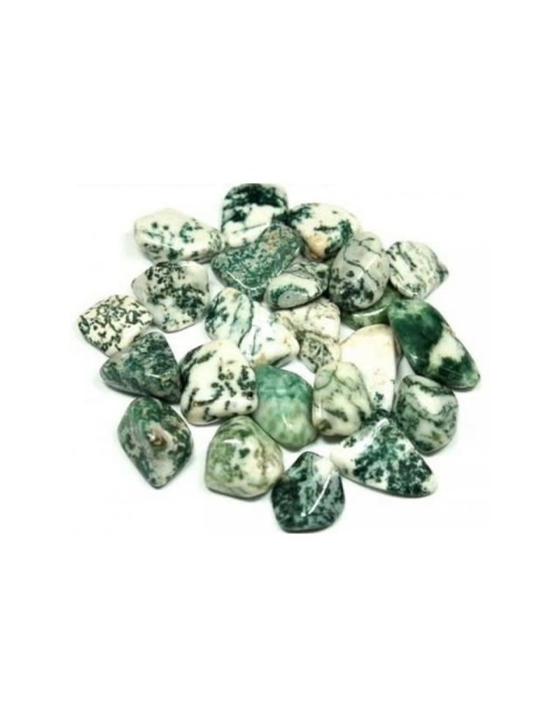 Tree Agate - Small Gemstone Tumbled