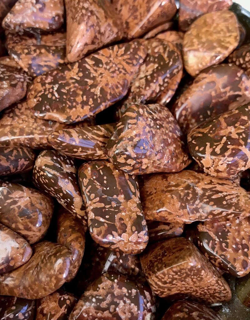 Starry Jasper - Large Gemstone Tumbled