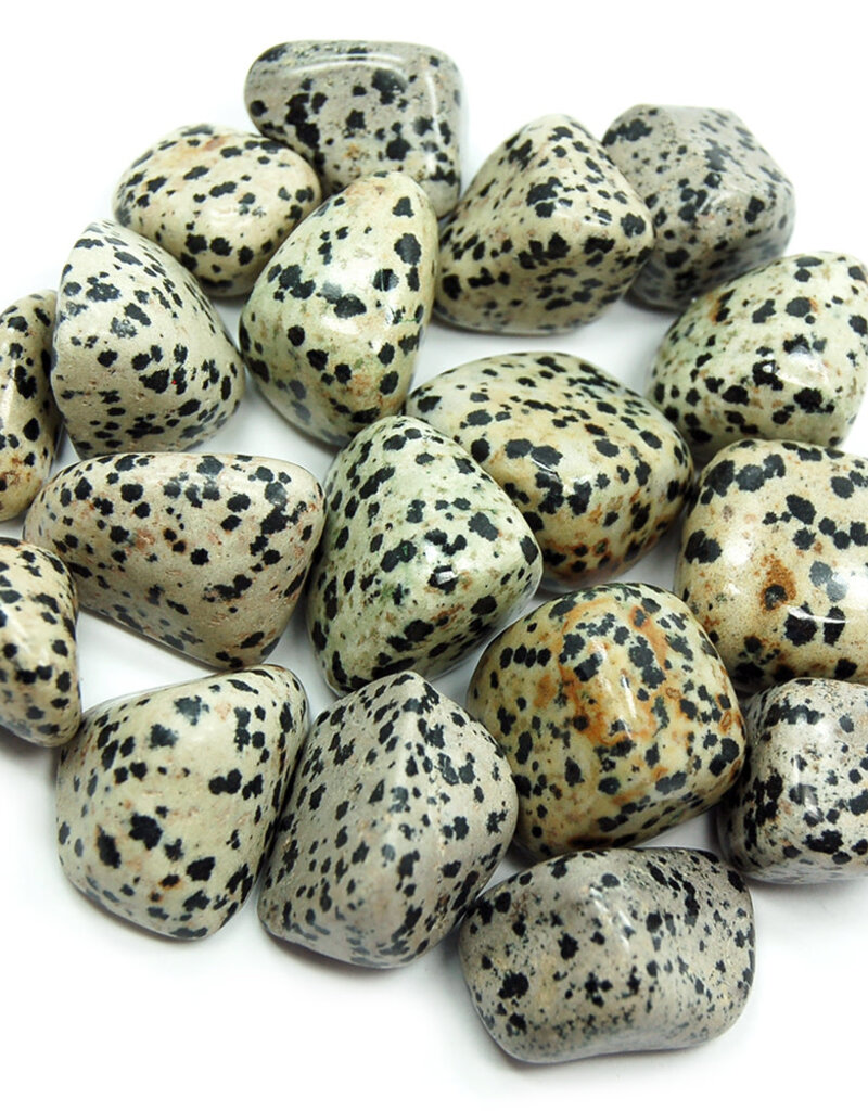 Dalmation Jasper - Med Gemstone Tumbled