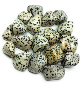 Dalmation Jasper -  Small Gemstone  Tumbled