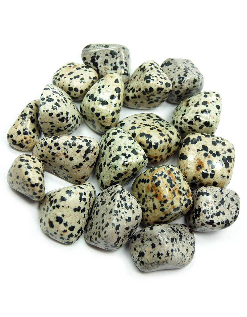 Dalmation Jasper -  Small Gemstone  Tumbled