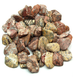 ** Leopardskin Jasper - Med Gemstone Tumbled